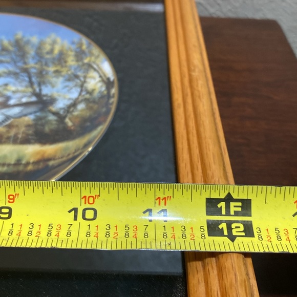 Limited Edition, Framed Collector Plate, by David Masss… Settling In - Picture 7 of 9